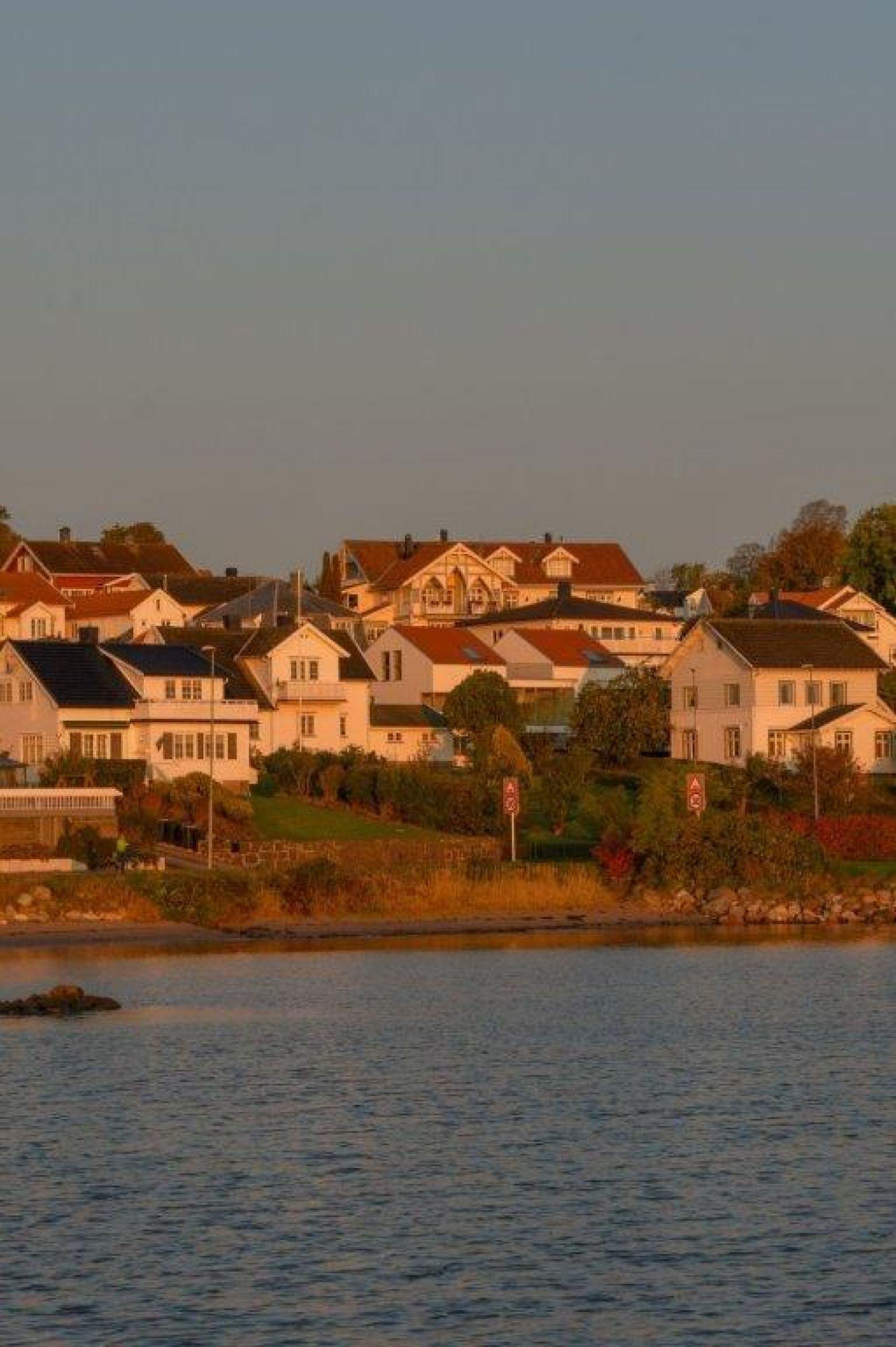 DSC 1558 f60b9d62ba316b42a9007639d67cdbac