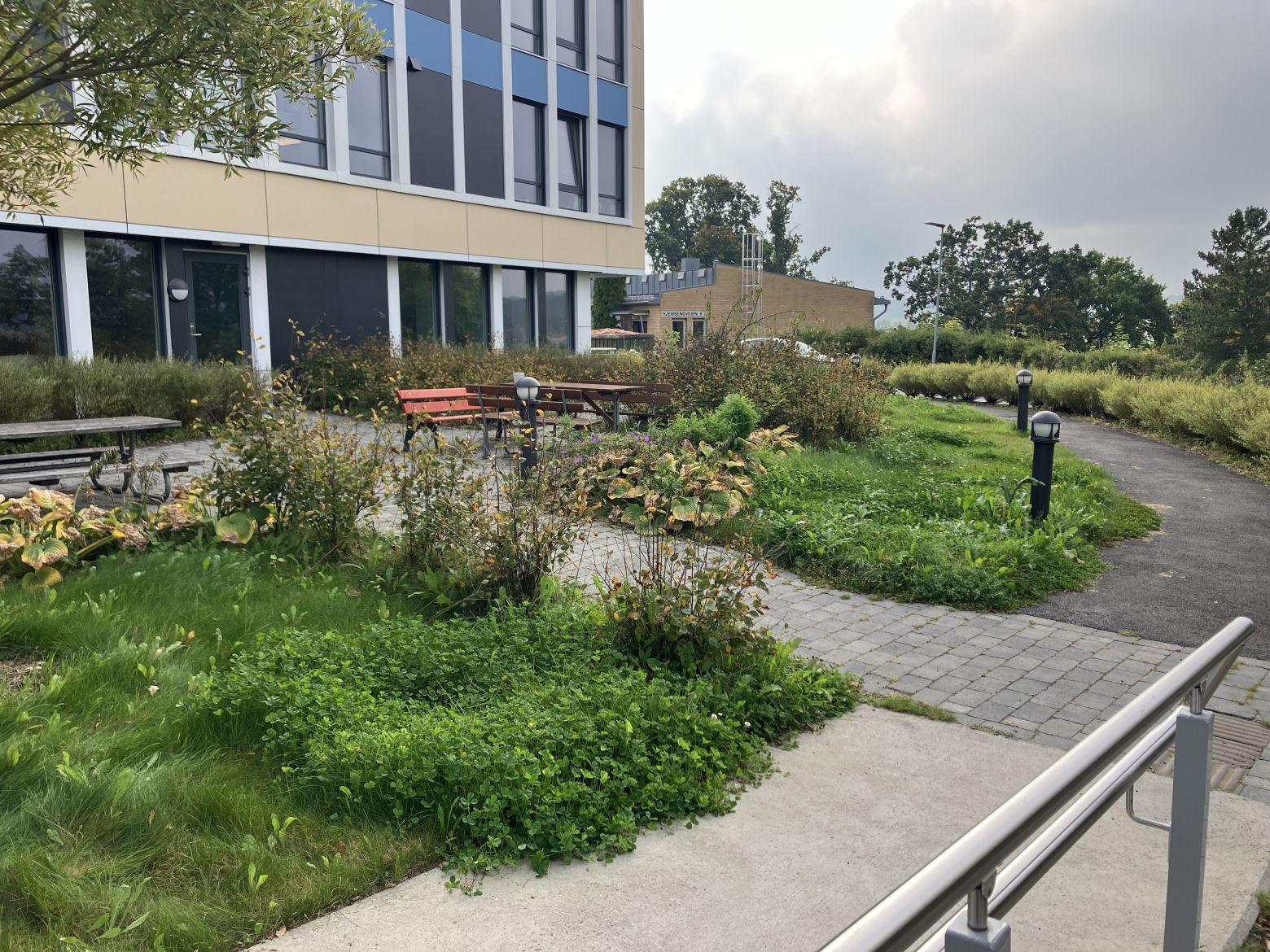 IMG 0085 2024 09 26 093643 rxpf 8959bab467a44dfd4688020ad8a7170c