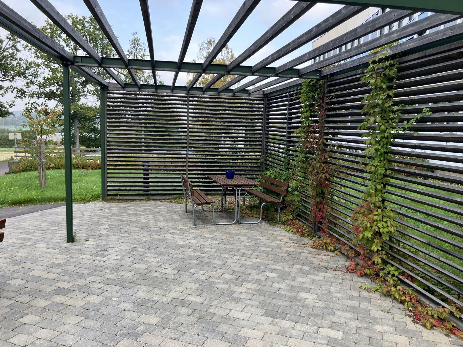 IMG 0096 2024 09 26 093625 tcnz 8959bab467a44dfd4688020ad8a7170c