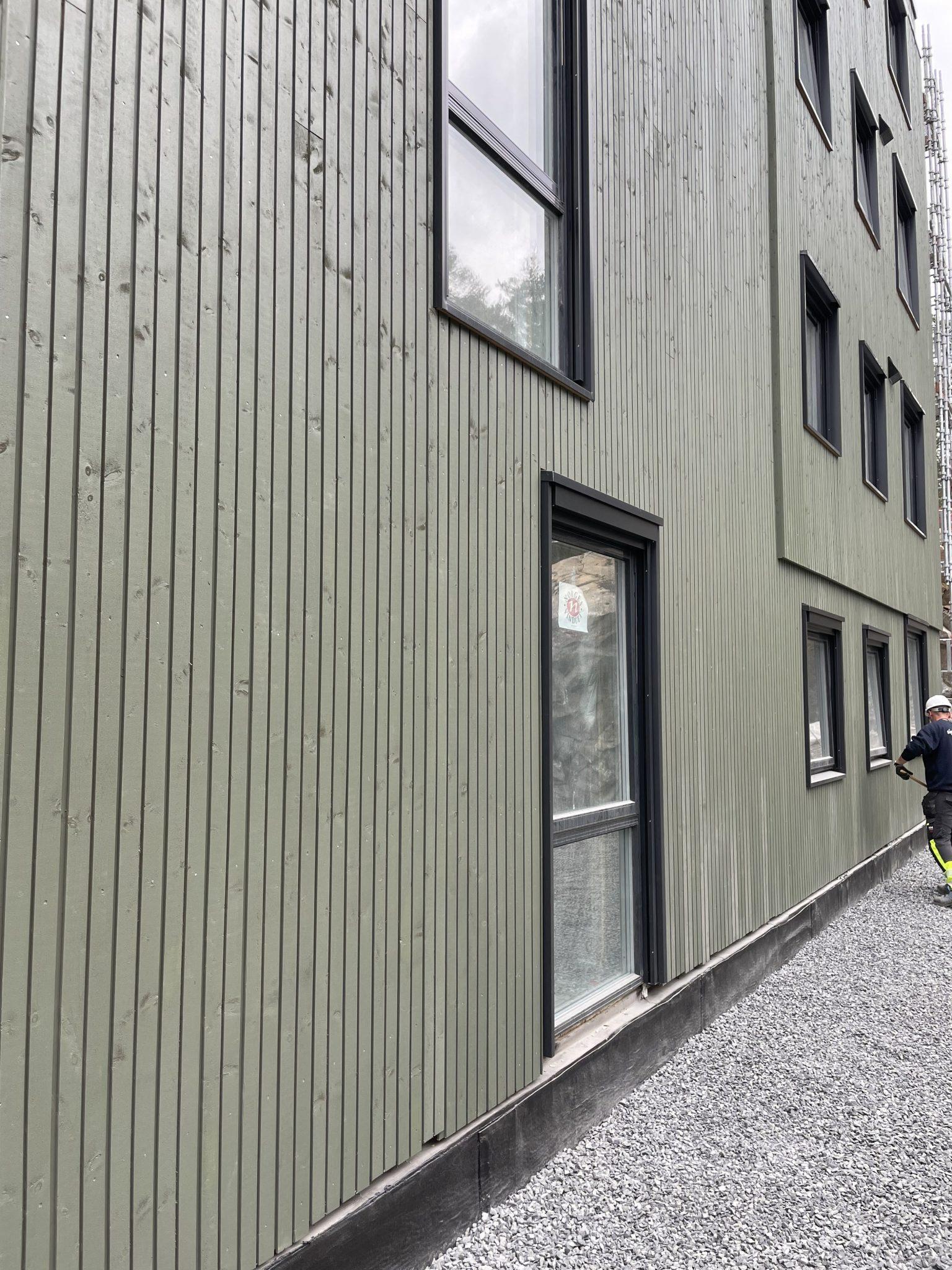 IMG 3669